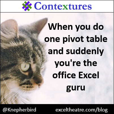 When you do one pivot table and suddenly you're the office Excel guru http://exceltheatre.com/blog/ 