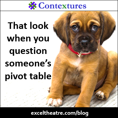 That look when you question someone’s pivot table http://exceltheatre.com/blog/